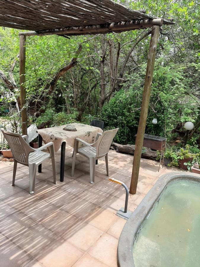 Aloes Bush * Hoedspruit